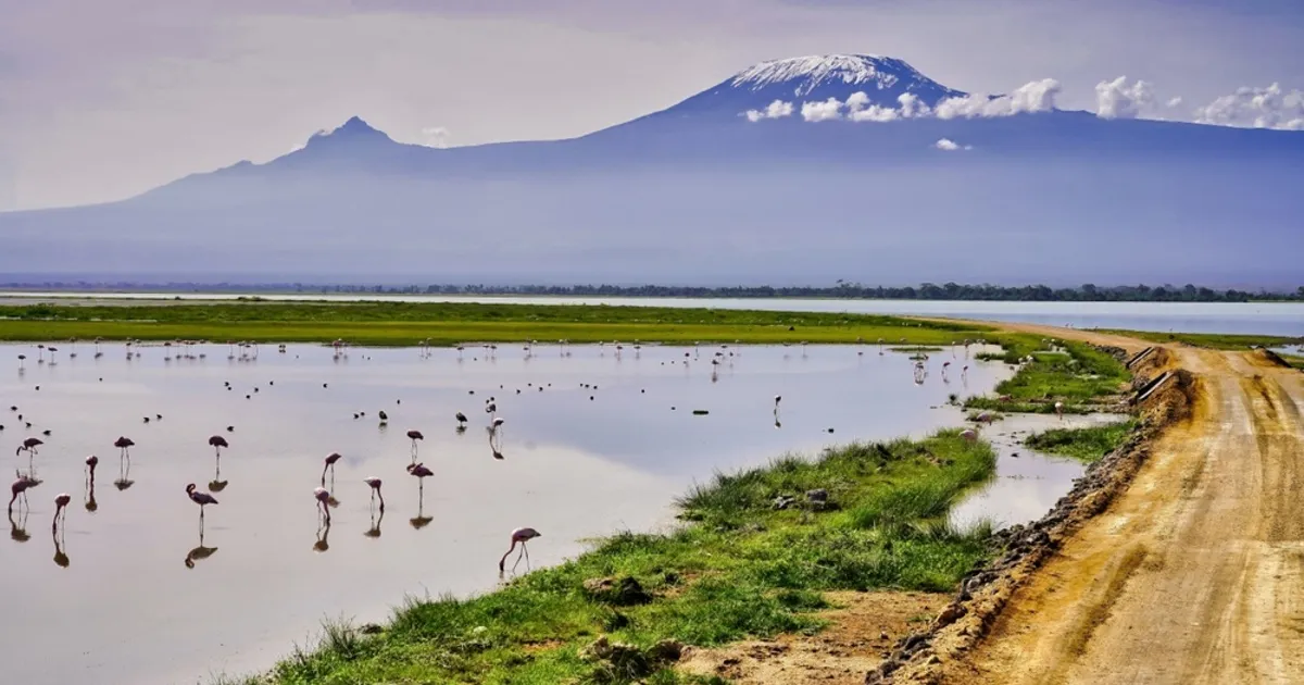 Picture perfect scene of the Mount Kilimanjaro with bright blue skies over serene Lake Amboseli, flamingos and safari trails at Amboseli National Park, Kenya