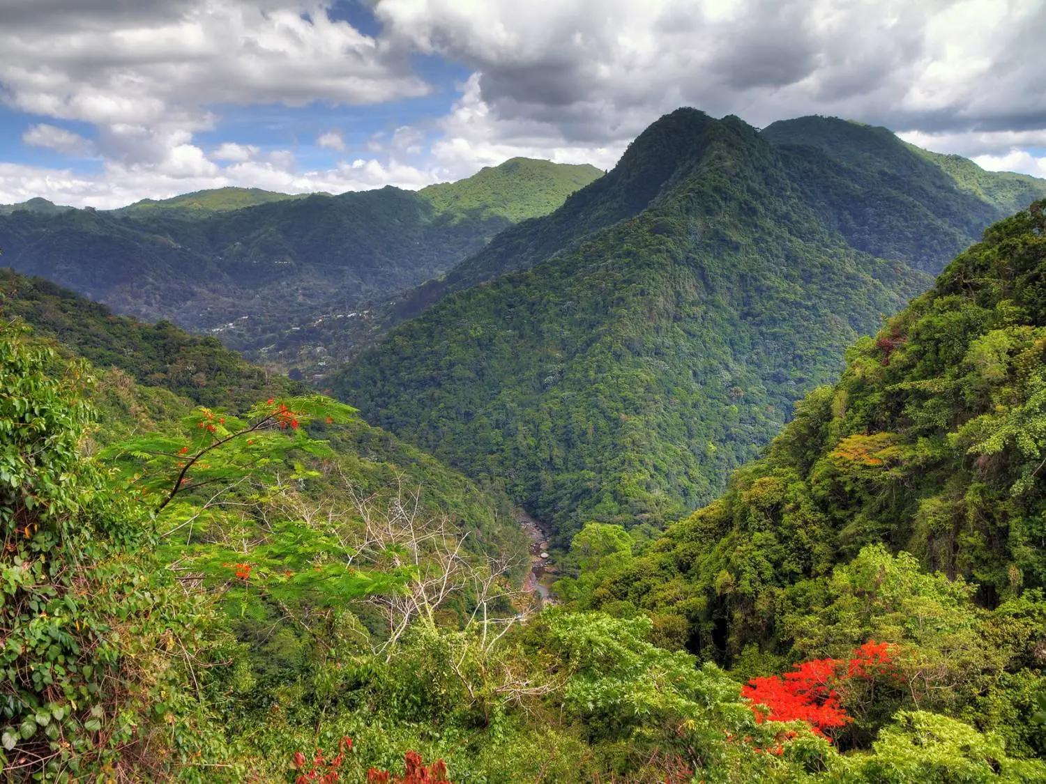 El Yunque Rainforest