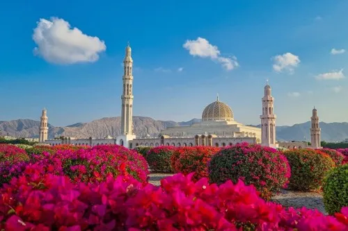 Oman landscape