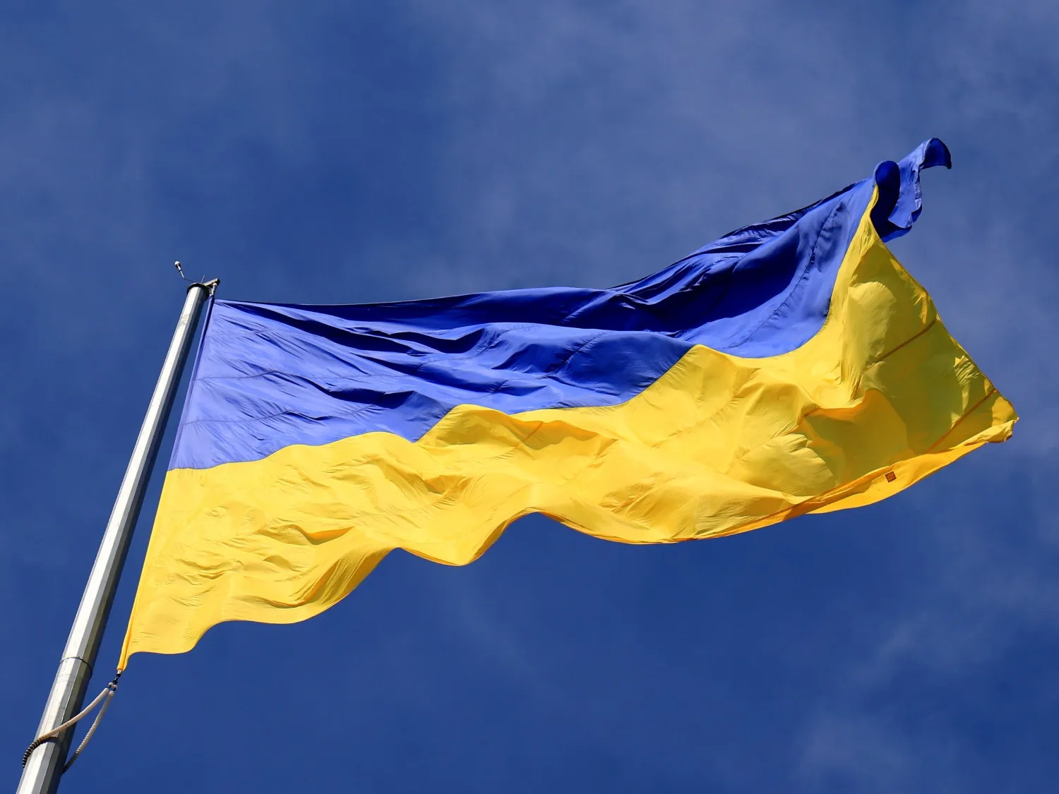 Ukraine Flag