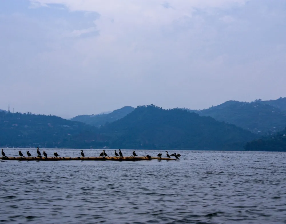 Lake Kivu