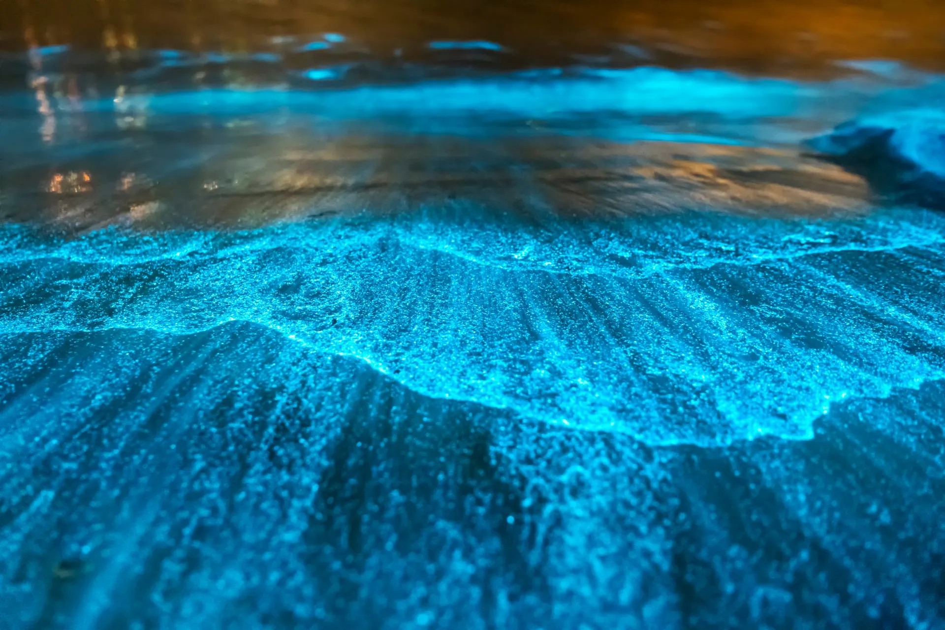 Bio-luminescence, Mosquito Bay, Puerto Rico.